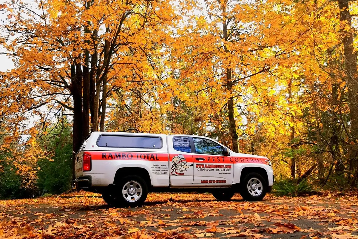 rambo pest services redmond