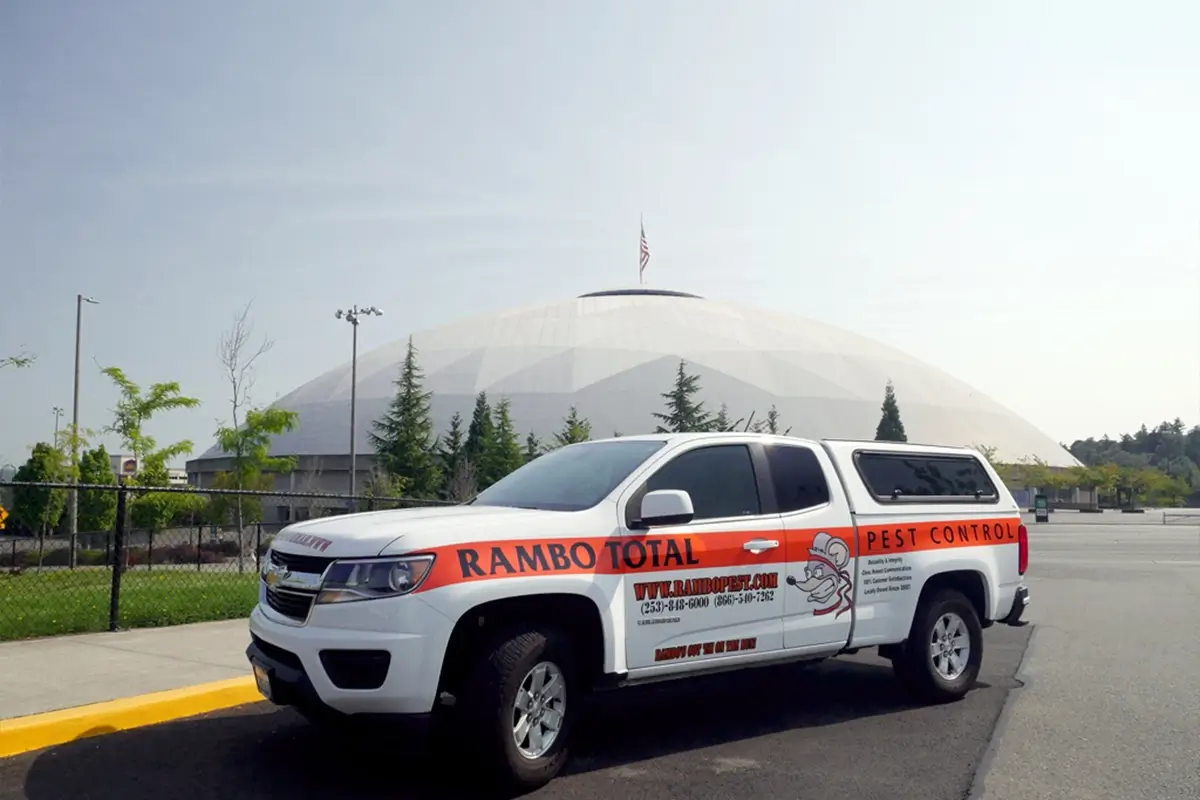 rambo pest services tacoma