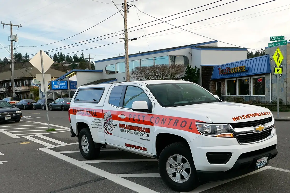 rambo pest services west seattle