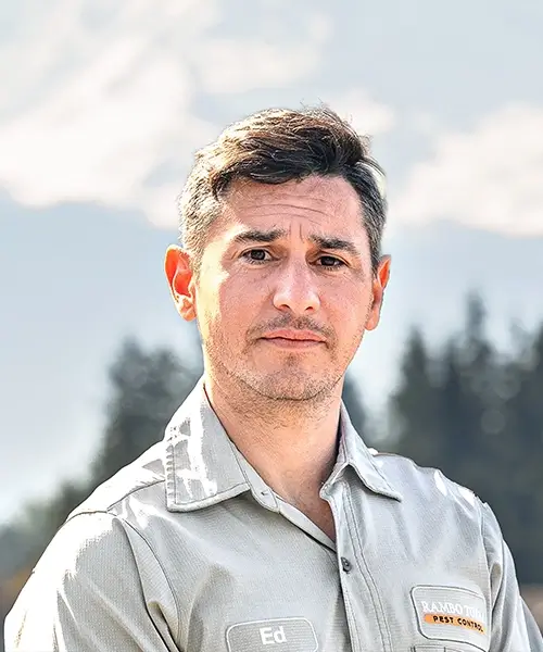 Ed Steinshouer