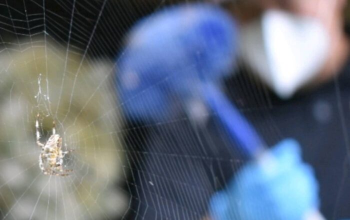rambo technician spider web